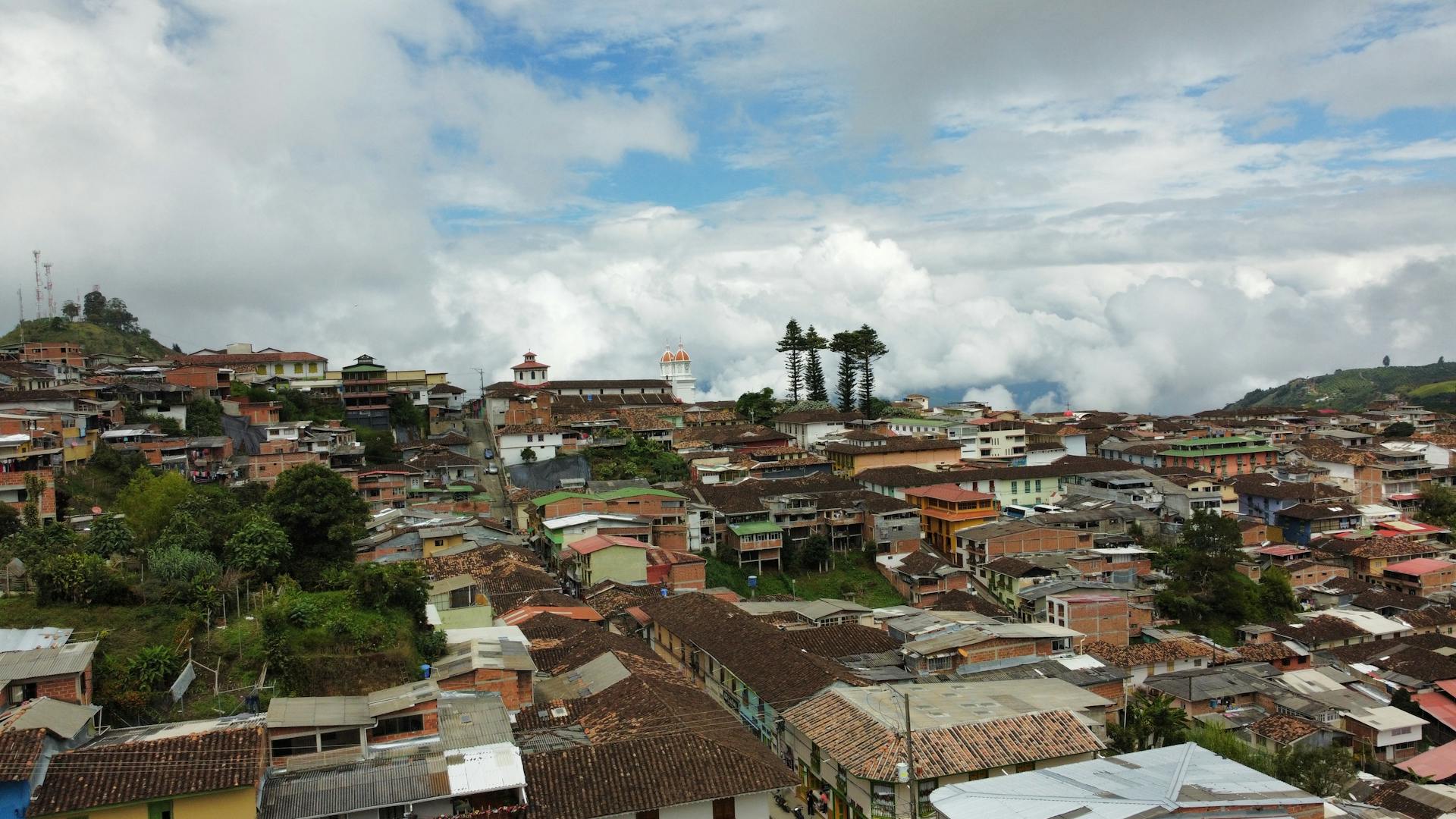 Paisaje cafetero colombiano